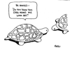 turtle_96ppi_02.jpg